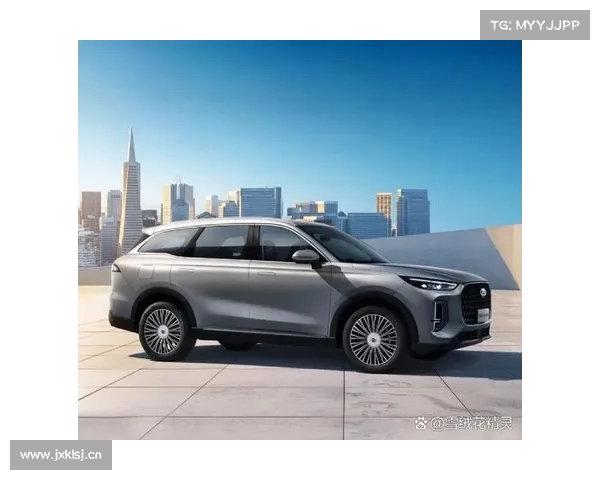 全新一代奇瑞瑞虎8还增加了很多人性化的智能配置